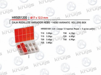 Hebo Rollen afstelset 17 x 12.3mm Hebo variateurs 3.00 ~ 4.