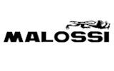 Pulleys / Parts - Malossi1