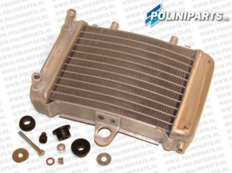 Polini Minibike - Radiateur - 910 & 911 / GP & GP2